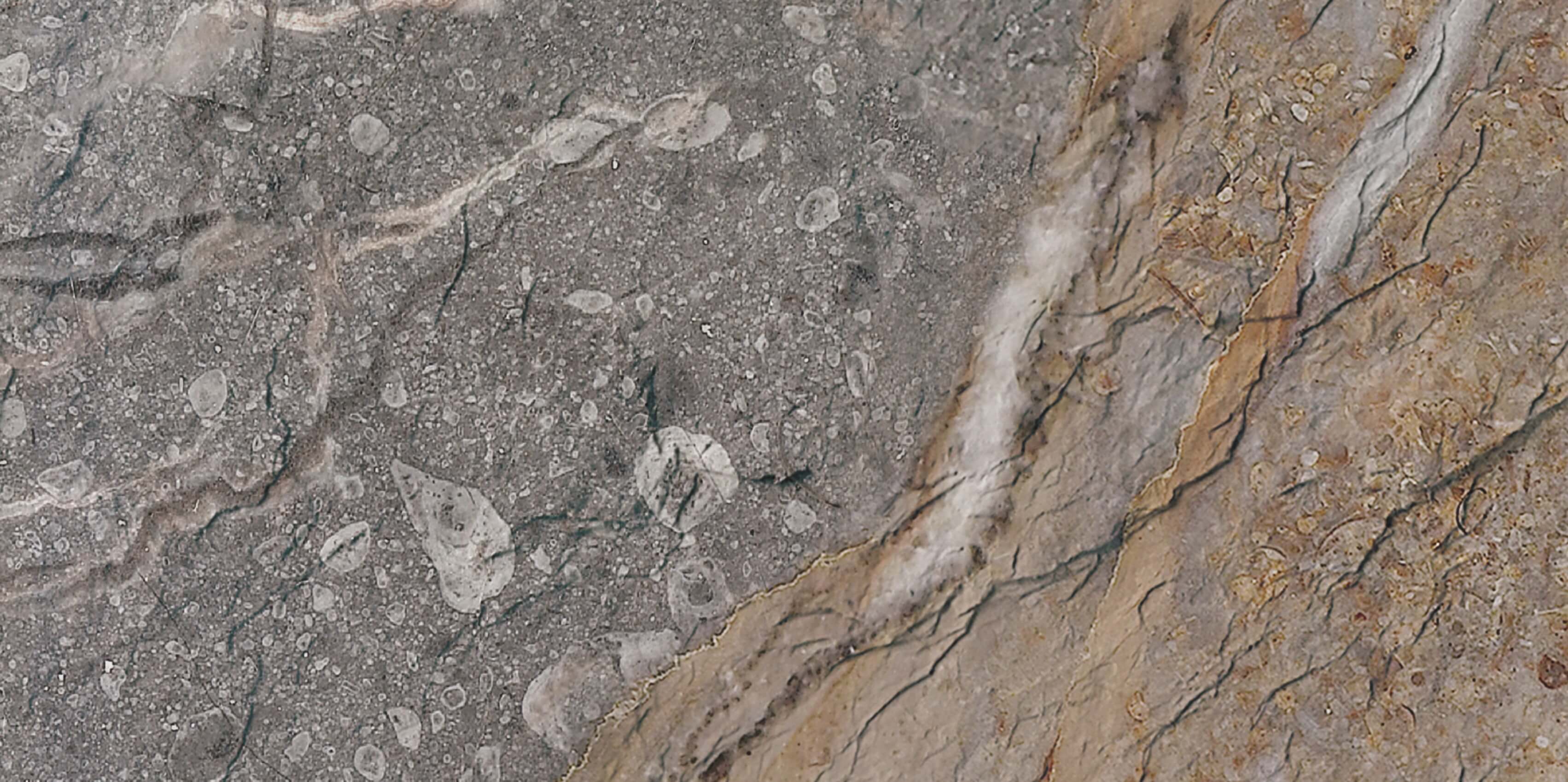 Rock Mottle marron 