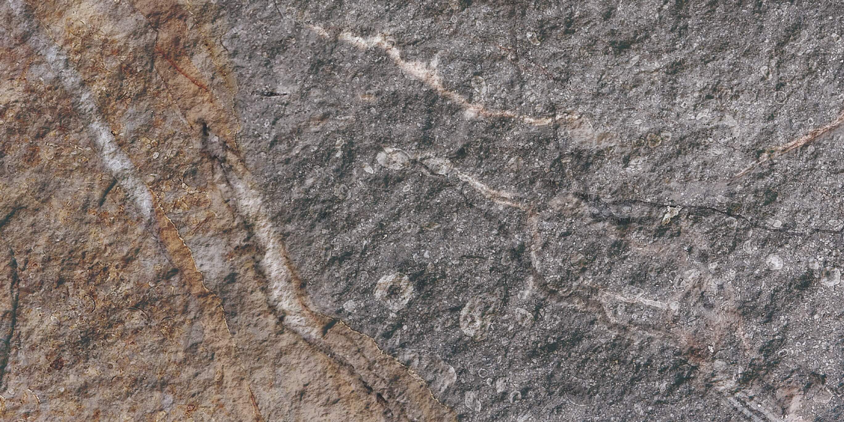Rock Mottle marron 