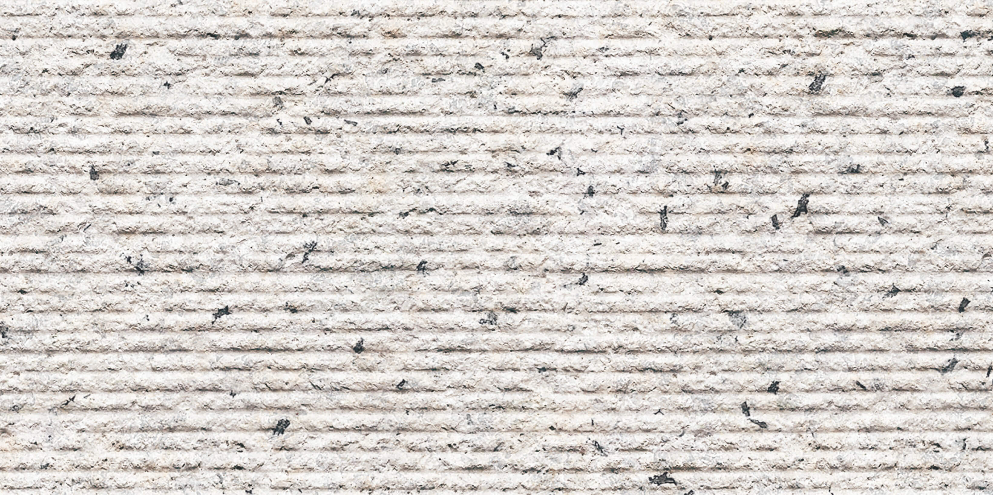 Nouveau s&eacute;same blanc 