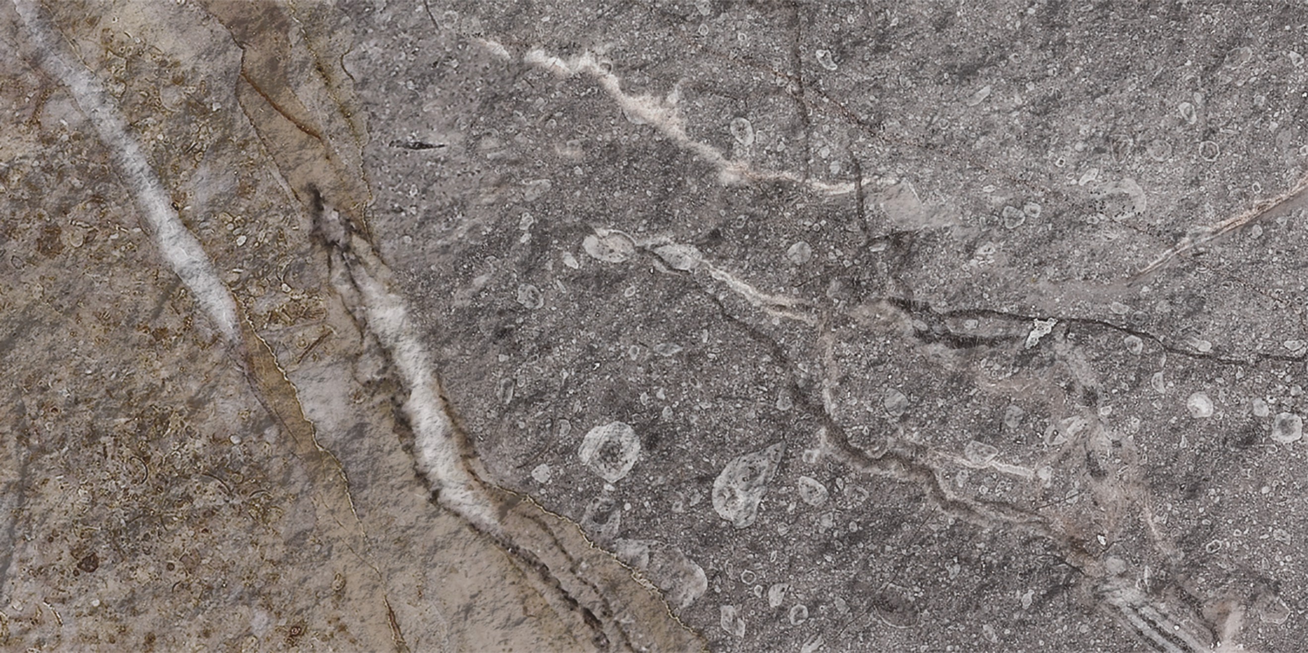 Rock Mottle marron 
